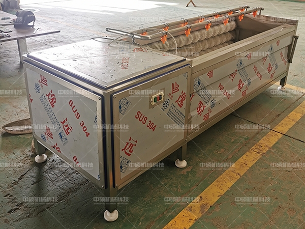 毛輥清洗去皮機